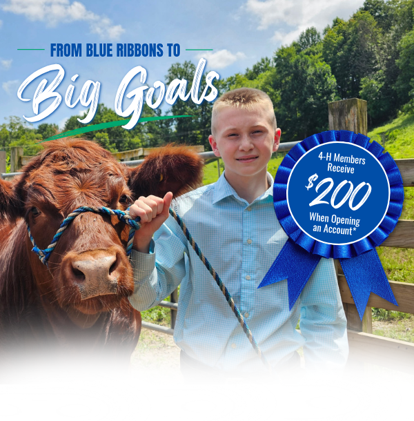 2026 4-H Member Promotion - Teen with Steer and Blue Ribbon with Words 4-H Members Receive $200 when opening an account